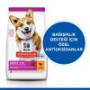 Hills Adult Small Miniature Tavuklu Küçük Irk Köpek Maması 1.5 Kg