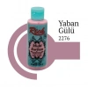 Rich Multi Surface 2276 Yaban Gülü Akrilik Boya 120 cc