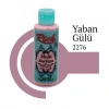 Rich Multi Surface 2276 Yaban Gülü Akrilik Boya 120 Cc