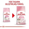 Royal Canin Kitten Yavru Kedi Maması 2 Kg