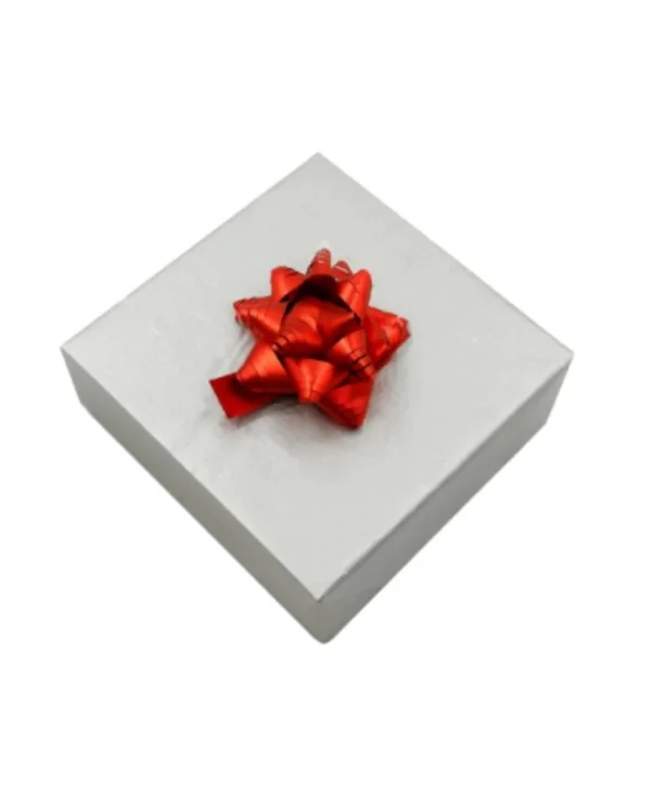 Kutup Yıldızı Hediye Paketi Süsü Kırmızı 24 Adet