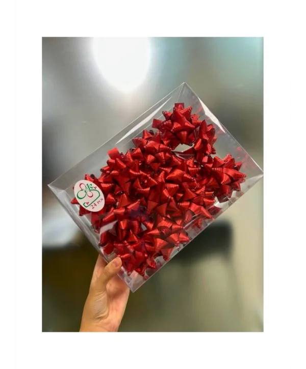 Kutup Yıldızı Hediye Paketi Süsü Kırmızı 24 Adet