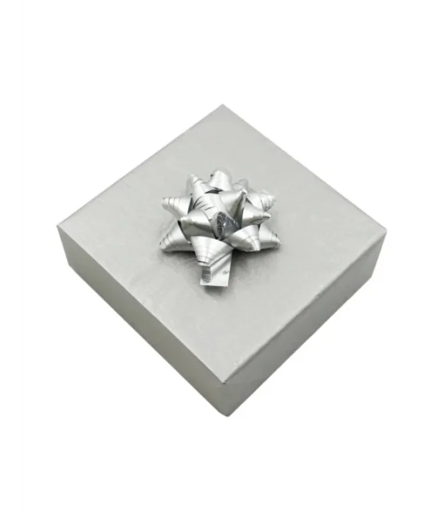 Kutup Yıldızı Hediye Paketi Süsü Silver 24 Adet