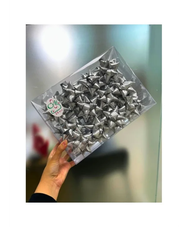 Kutup Yıldızı Hediye Paketi Süsü Silver 24 Adet
