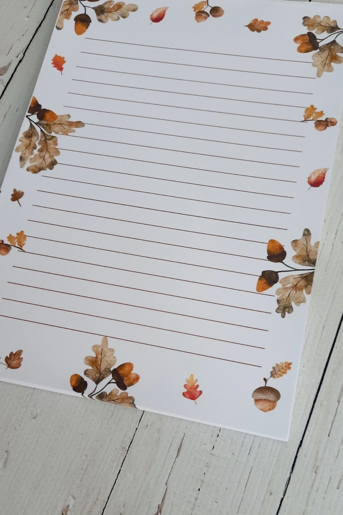 Meşe Palamutu Sonbahar Kış, A5 Notepad, Memopad, Bloknot, Defter, Not Defteri