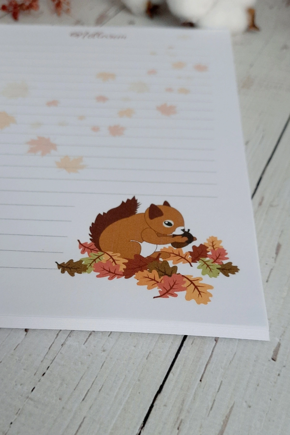 Sonbahar Sevimli Sincap, Kış, Yılbaşı A5 Notepad Memopad Bloknot Defter Not Defteri