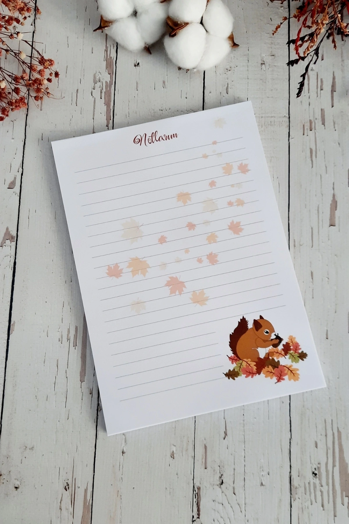 Sonbahar Sevimli Sincap, Kış, Yılbaşı A5 Notepad Memopad Bloknot Defter Not Defteri