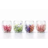 Çift Camlı Çiçekli Bardak Alk4471