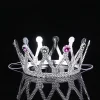 Gümüş Renk Çocuk Ve Yetişkin Uyumlu Kraliçe Tacı Prenses Tacı 8x25 Cm