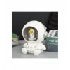 Polyester Masa Üstü Astrolog Ledli Lamba Alk1171