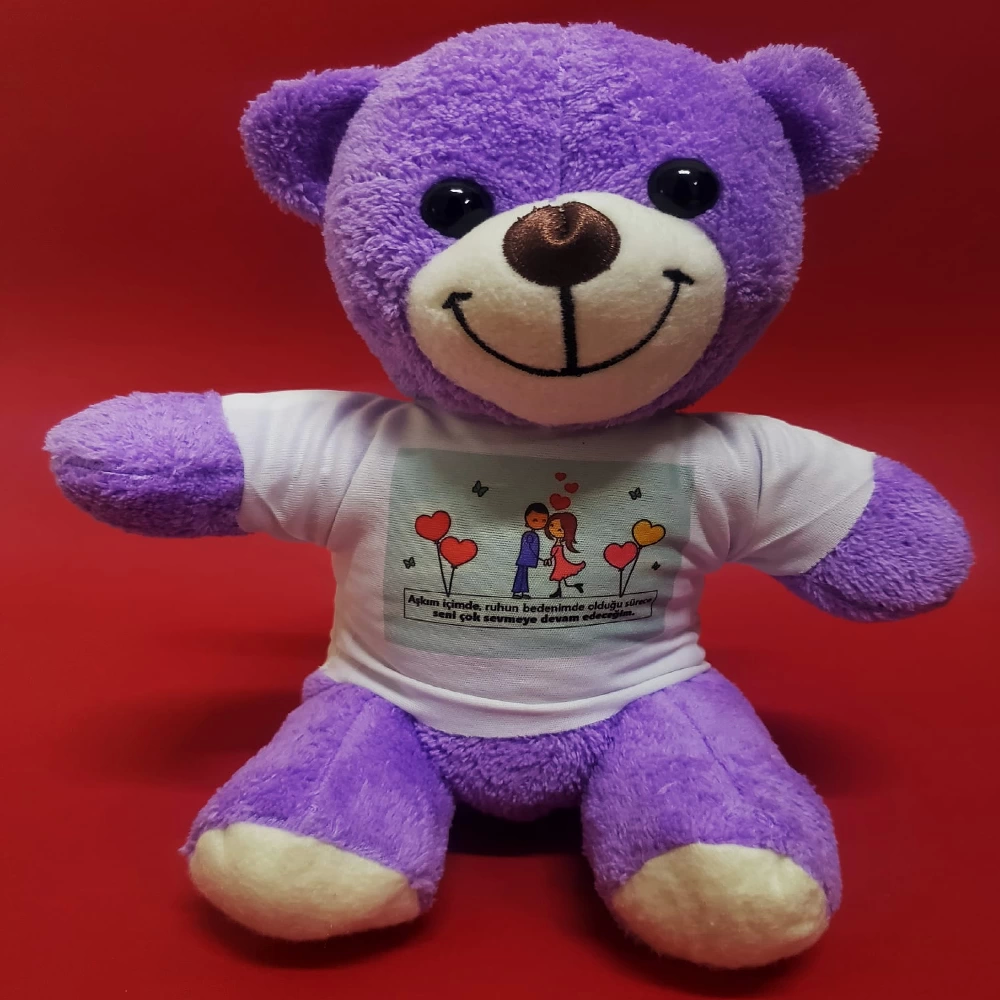 Valentine's Day Gift T-shirt Bear