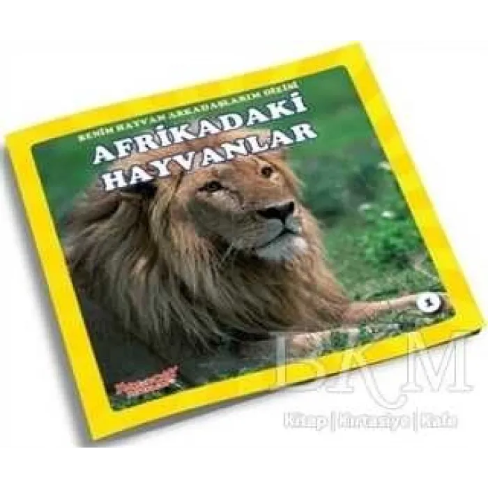 Afrikadaki Hayvanlar - Benim Hayvan Arkadaşlarım Dizisi 1