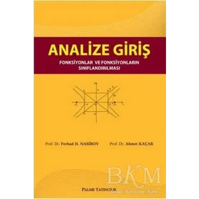 Analize Giriş