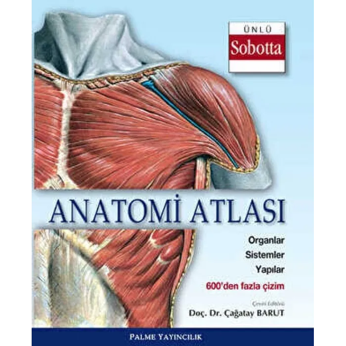 Anatomi Atlası Sobotta Çizimleri
