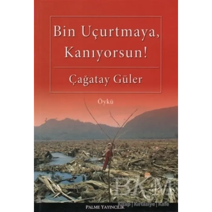 Bin Uçurtmaya, Kanıyorsun!