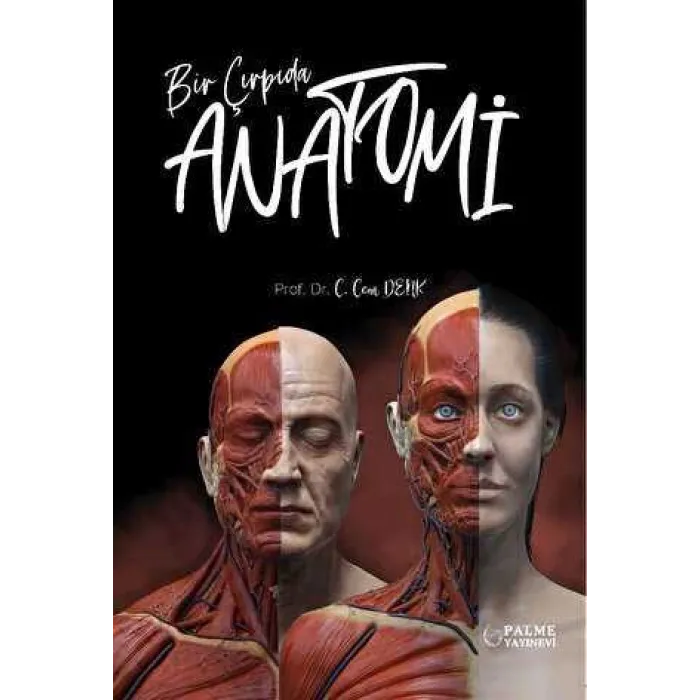 Bir Çırpıda Anatomi