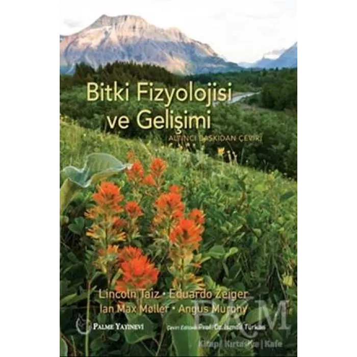 Bitki Fizyolojisi ve Gelişimi