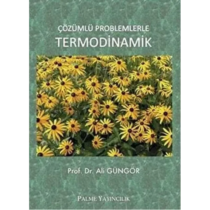 Çözümlü Problemlerle Termodinamik