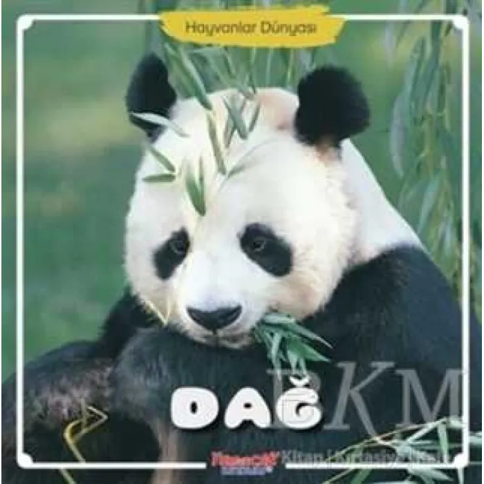 Dağ - Hayvanlar Dünyası