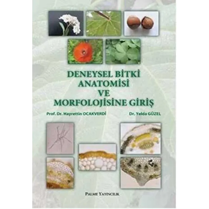 Deneysel Bitki Anatomisi ve Morfolojisine Giriş