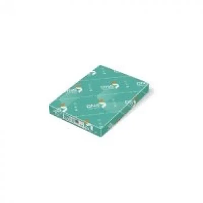 Dns Color Print A4 Fotokopi Kağıdı 120 Gram 250li Ne1008