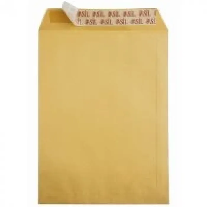 Doğan Torba Zarf 24*32 Formula Silikonlu 100 Gram 100lü As-0854