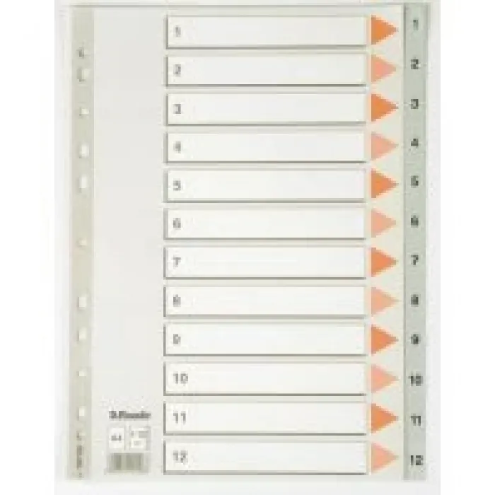 Esselte Seperatör 1-12 - 100106