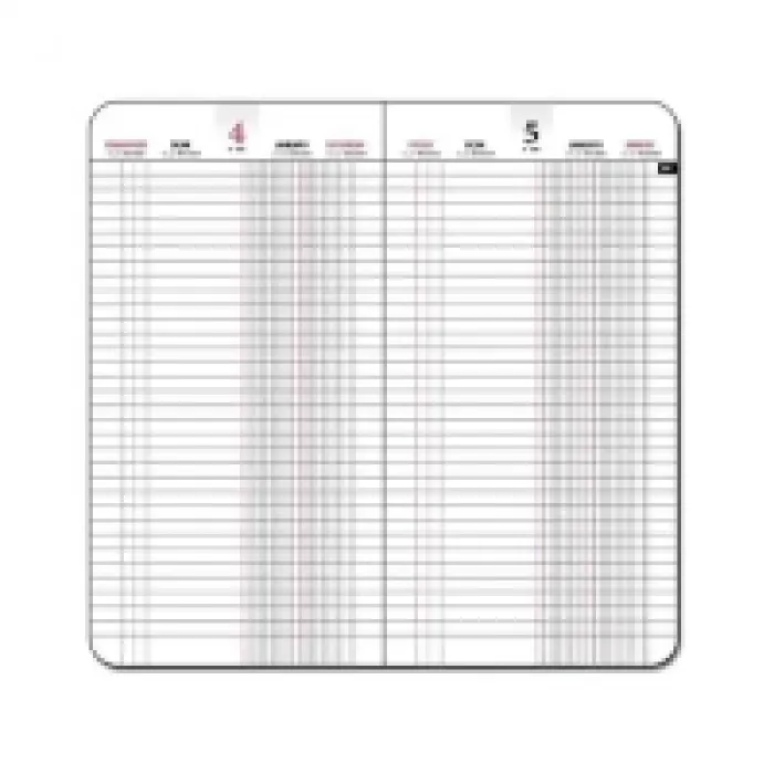 Gıpta 2025 17x33 Kasa Ajanda Tck-118