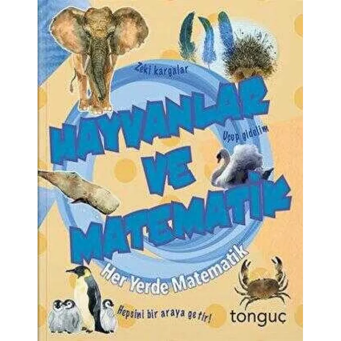 Her Yerde Matematik Serisi - Hayvanlar ve Matematik