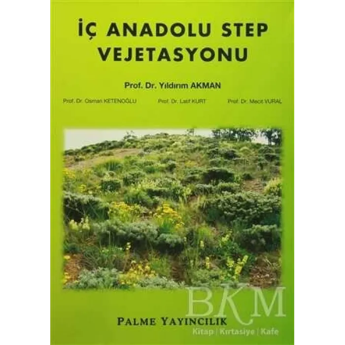 İç Anadolu Step Vejetasyonu