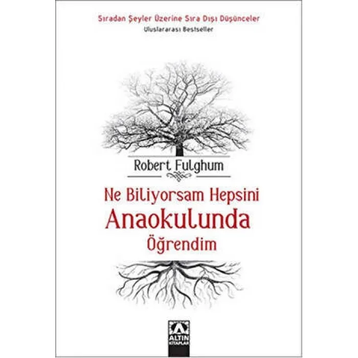 Ne Biliyorsam Hepsini Anaokulunda Öğrendim