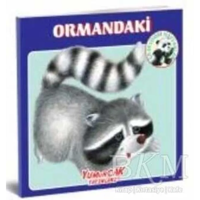 Ormandaki En Sevdiğim Hayvanlar Kitabı