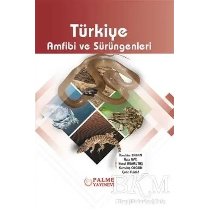 Türkiye Amfibi ve Sürüngenleri