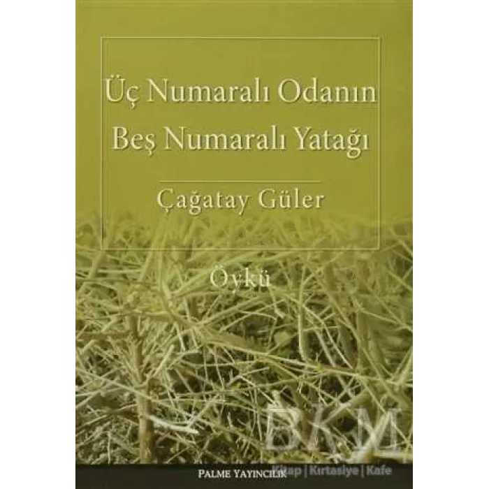 Üç Numaralı Odanın Beş Numaralı Yatağı
