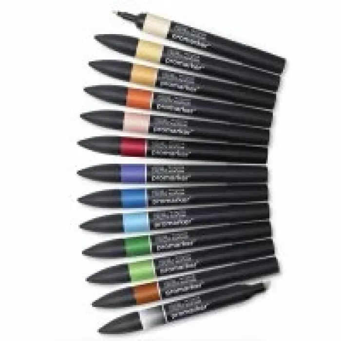 Winsor Newton Promarker Mang.set 12 Rn+kar 0290139