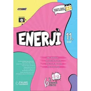 11. Sınıf Enerji 6`lı Deneme Sınavı
