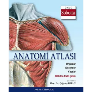 Anatomi Atlası Sobotta Çizimleri