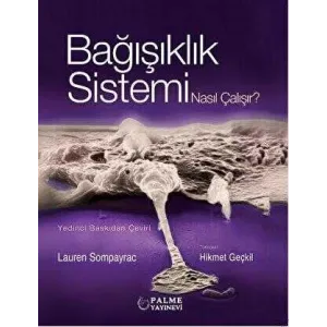 Bağışıklık Sistemi Nasıl Çalışır
