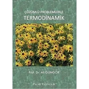 Çözümlü Problemlerle Termodinamik