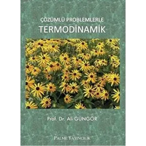 Çözümlü Problemlerle Termodinamik