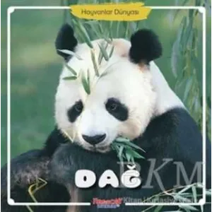 Dağ - Hayvanlar Dünyası