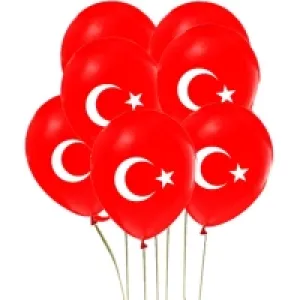 Erbay Baskılı Balon 100 Lü Bayrak Xzy