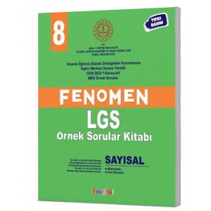 Fenomen 8 MEB Sayısal Örnek Sorular