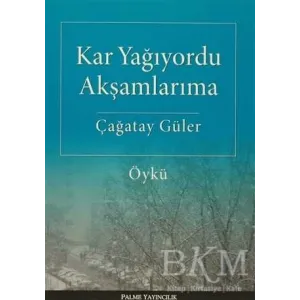 Kar Yağıyordu Akşamlarıma