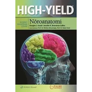 Nöroanatomi Hıgh Yıeld