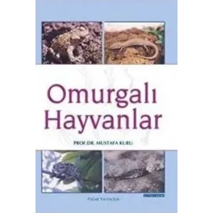 Omurgalı Hayvanlar