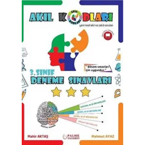 Palme Yayıncılık 3. Sınıf Akıl Kodları Deneme Sınavı