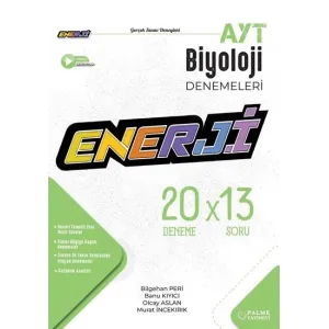 PALME YKS AYT ENERJİ GEOMETRİ KONU ÖZETLİ SORU FASİKÜLLERİ *YENİ*