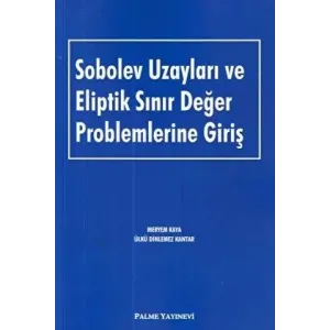Sobolev Uzayları ve Eliptik Sınır Değer Problemlerine Giriş