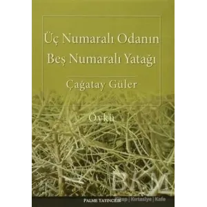 Üç Numaralı Odanın Beş Numaralı Yatağı